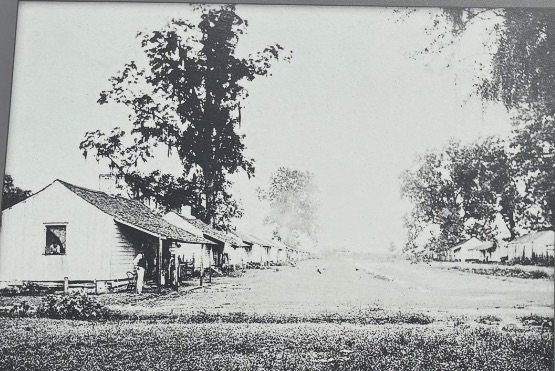 Jacques and Celina Roman purchased Oak Alley Plantation from the bank on credit in 1836. It was a sugar plantation, and Jacques used 57 enslaved field workers as collateral for the purchase.