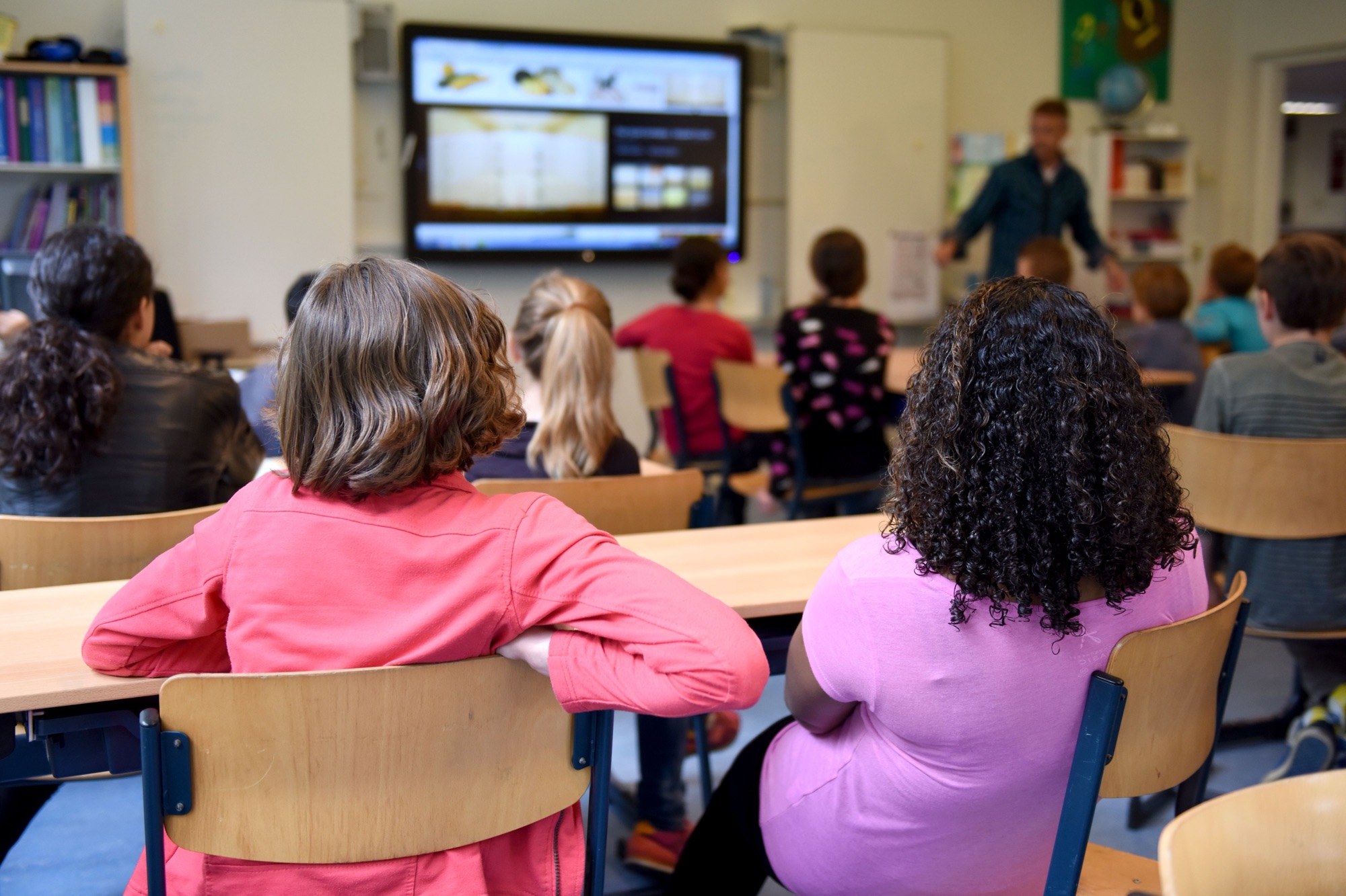 Are Schools Rewarding Obedience More Than Curiosity?